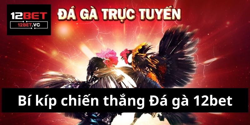 Bí kíp chiến thắng Đá gà 12bet: Nắm chắc luật chơi và mẹo hay 2 Đá gà 12bet