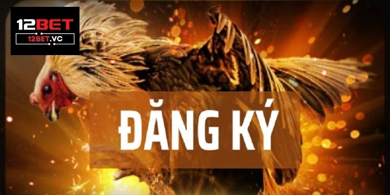 Bí kíp chiến thắng Đá gà 12bet: Nắm chắc luật chơi và mẹo hay 3 Đá gà 12bet