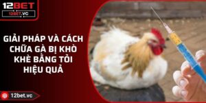 Giải Pháp Và Cách Chữa Gà Bị Khò Khè Bằng Tỏi Hiệu Quả 5 Giải Pháp Và Cách Chữa Gà Bị Khò Khè Bằng Tỏi Hiệu Quả