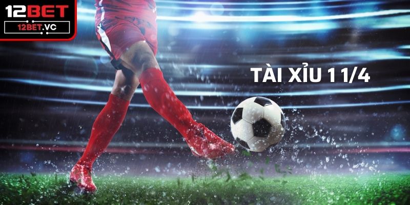 Tài Xỉu 1 1/4 Thấu Hiểu Để Chiến Thắng Trong Cá Cược Bóng Đá 2 Đôi nét bạn nên biết về kèo tài xỉu 1 1/4