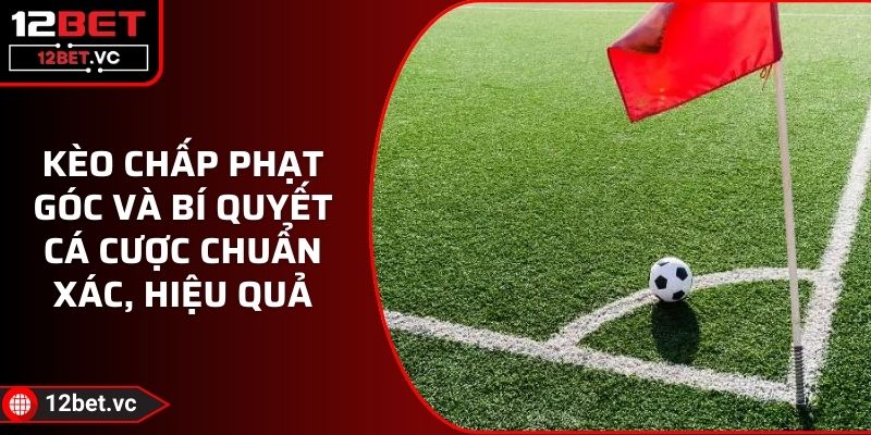 Kèo Chấp Phạt Góc Và Bí Quyết Cá Cược Chuẩn Xác, Hiệu Quả 1 Kèo Chấp Phạt Góc Và Bí Quyết Cá Cược Chuẩn Xác, Hiệu Quả