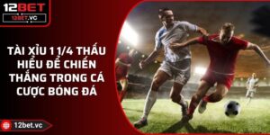 Tài Xỉu 1 1/4 Thấu Hiểu Để Chiến Thắng Trong Cá Cược Bóng Đá