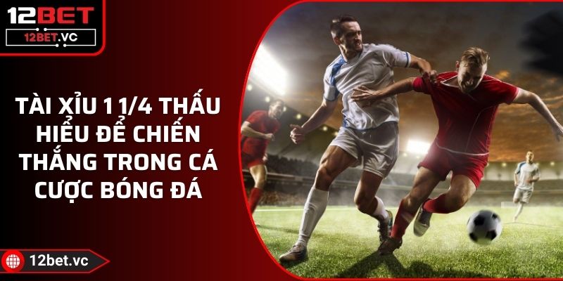 Tài Xỉu 1 1/4 Thấu Hiểu Để Chiến Thắng Trong Cá Cược Bóng Đá 1 Tài Xỉu 1 1/4 Thấu Hiểu Để Chiến Thắng Trong Cá Cược Bóng Đá