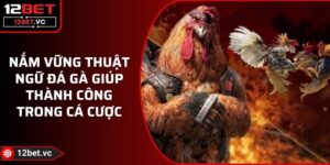 Nắm Vững Thuật Ngữ Đá Gà Giúp Thành Công Trong Cá Cược 9 Nắm Vững Thuật Ngữ Đá Gà Giúp Thành Công Trong Cá Cược