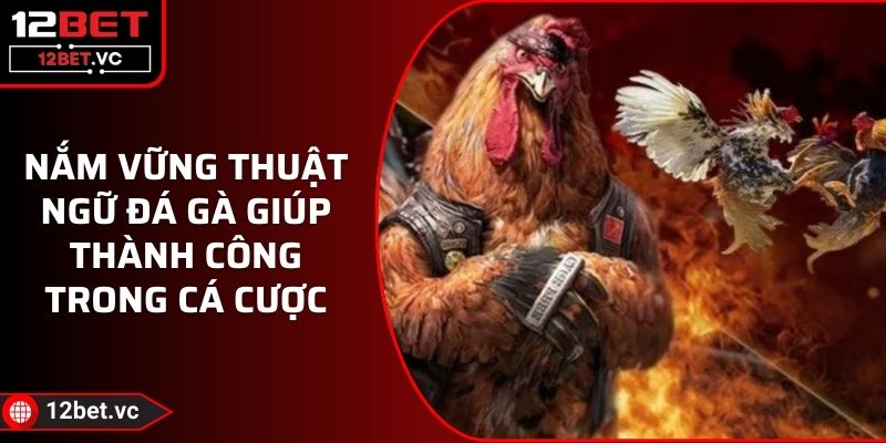 Nắm Vững Thuật Ngữ Đá Gà Giúp Thành Công Trong Cá Cược 1 Nắm Vững Thuật Ngữ Đá Gà Giúp Thành Công Trong Cá Cược