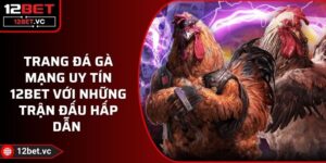 Trang Đá Gà Mạng Uy Tín 12BET Với Những Trận Đấu Hấp Dẫn 8 Trang Đá Gà Mạng Uy Tín 12BET Với Những Trận Đấu Hấp Dẫn